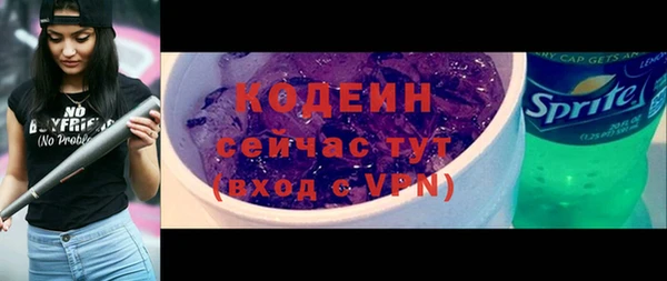дмт Абаза