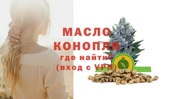 дмт Абаза