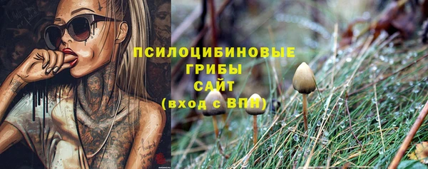 дмт Абаза