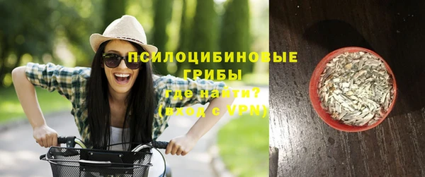 ГАЛЛЮЦИНОГЕННЫЕ ГРИБЫ Няндома