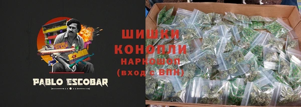 дмт Абаза